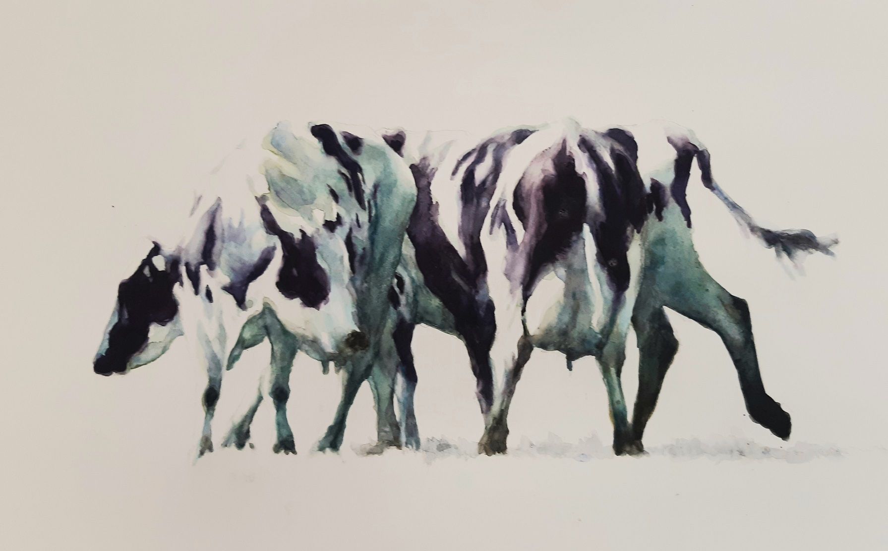 Probleem bij het laden van de afbeelding